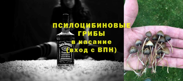 стаф Лабытнанги