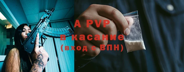 стафф Ладушкин