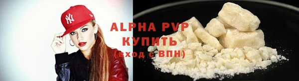 стафф Ладушкин