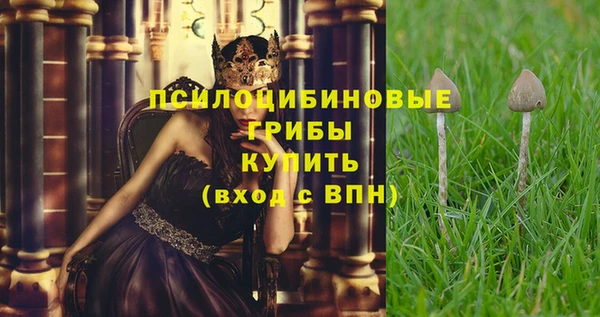 а пвп мука Сатка
